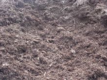 Organic Mulch