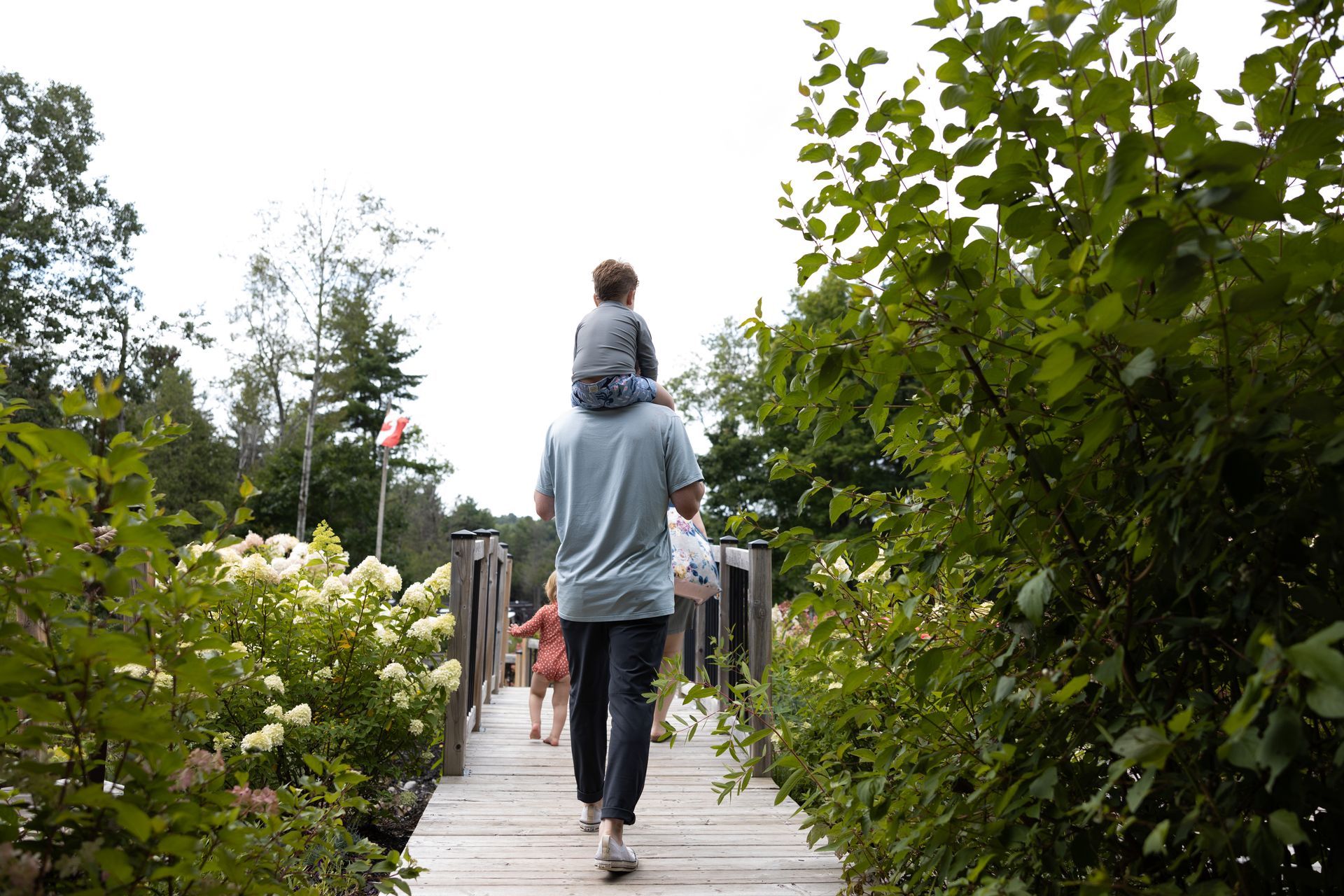 Man carries child on shoulders, walking across a wooden bridge in a garden.