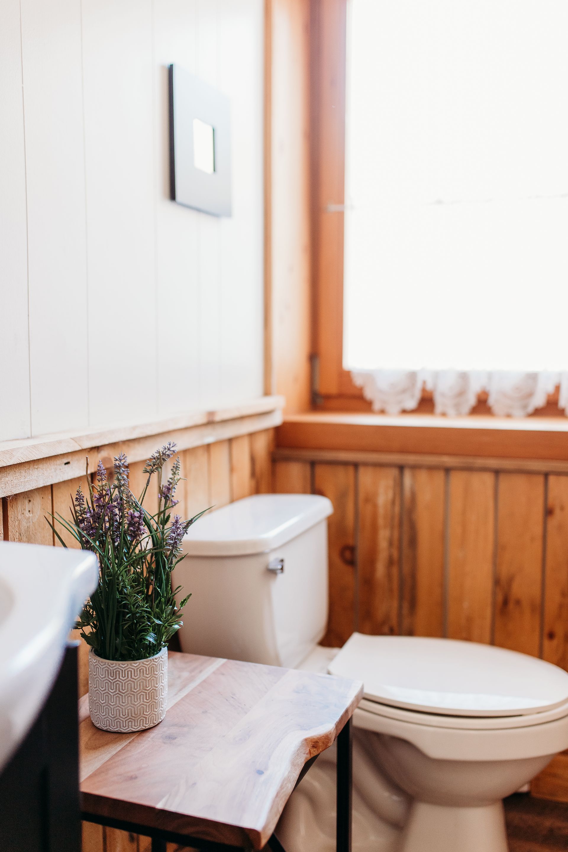 Bathroom with wood paneling, toilet, small table with plant, and window with light.