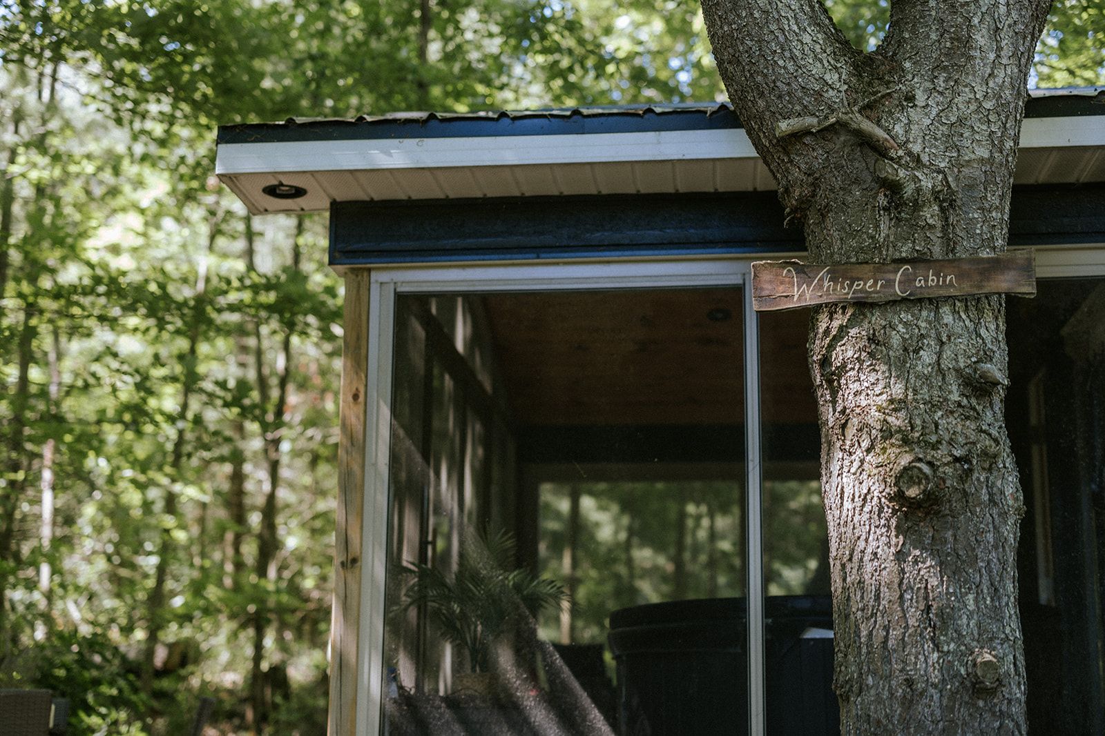 Screened-in porch attached to a tree, in a wooded setting. A wooden sign is nailed to the tree.
