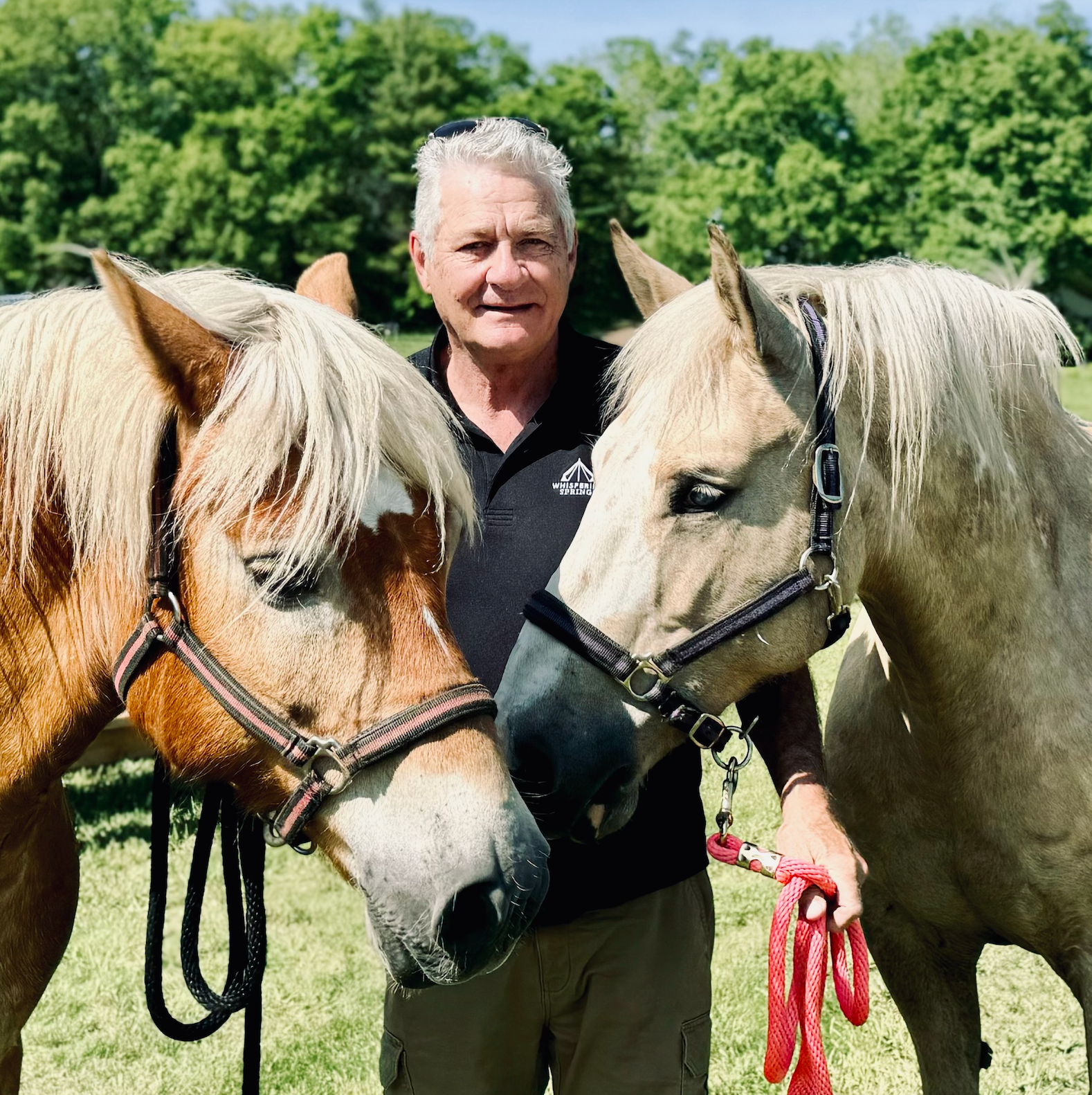 Equine Assisted Learning with horses at Whispering Springs