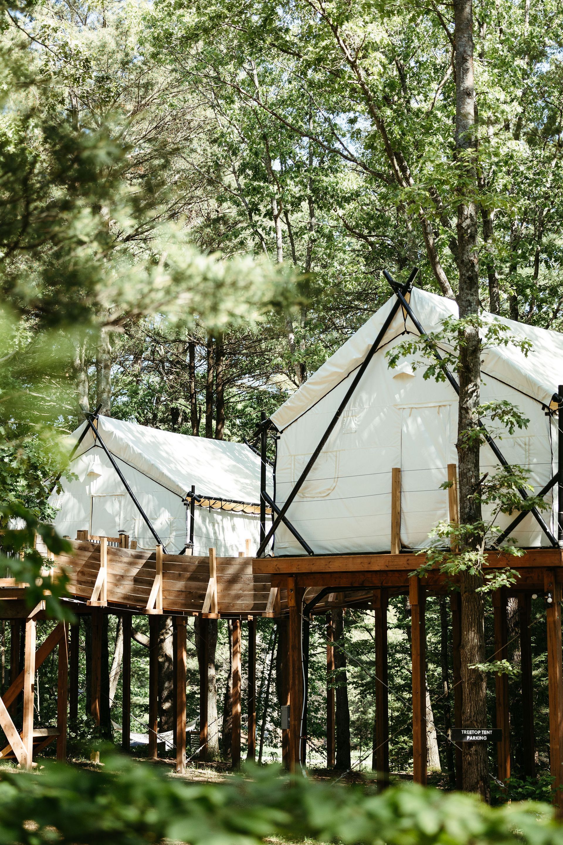 Treehouse cabins in a wooded area, with white canvas exteriors and wooden platforms.