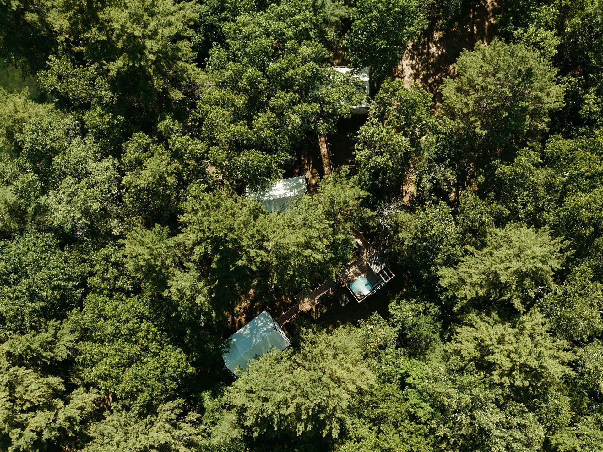 Overhead view of several small, reflective structures nestled among dense green trees.