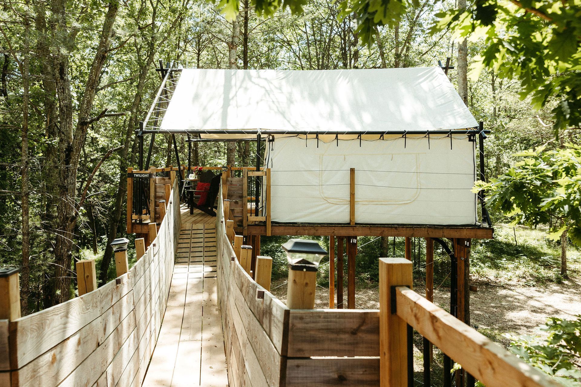 Treehouse with wooden bridge in a forest, white tent-like structure, sunny day.