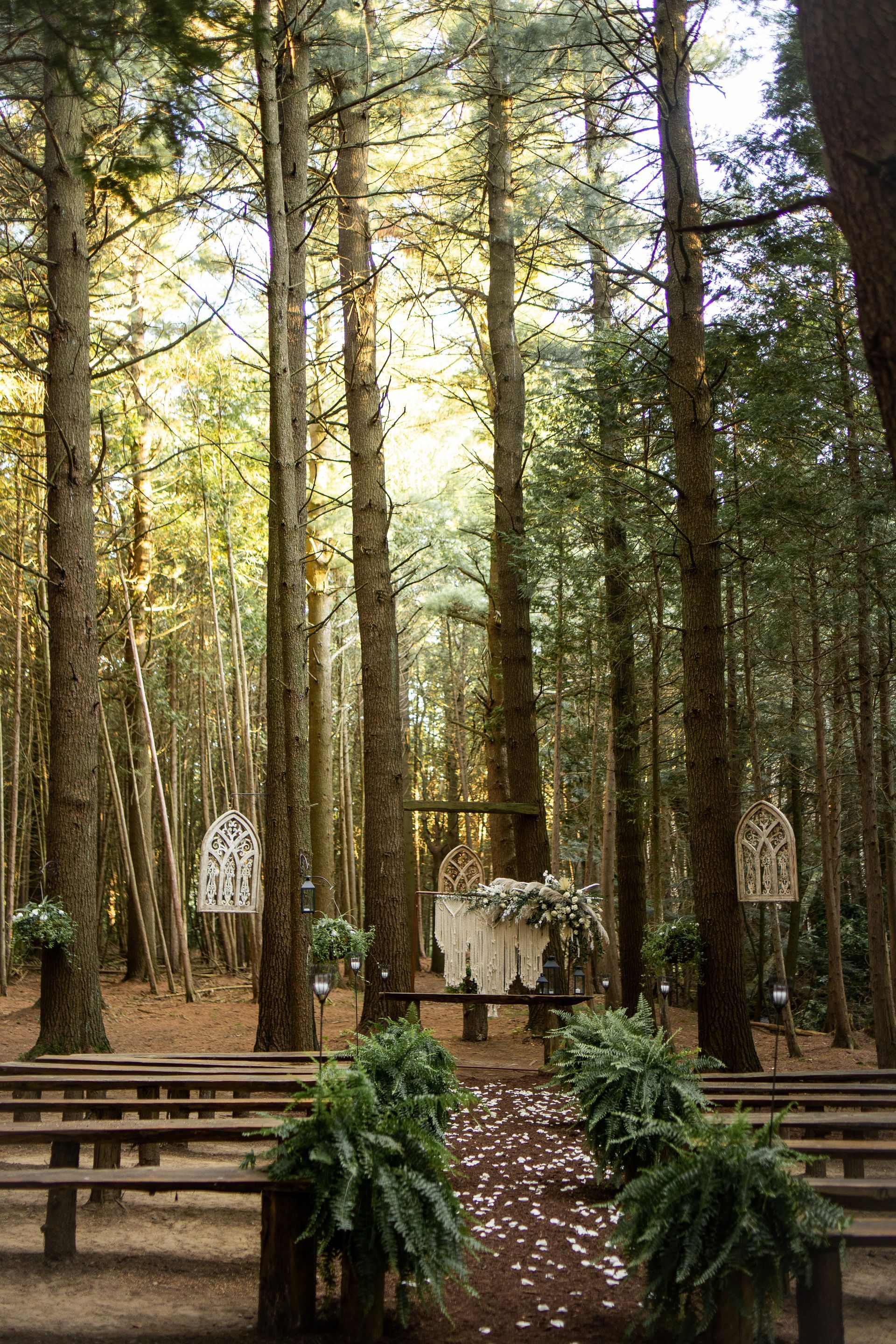 Whispering springs Wedding (Love Photos Photography)