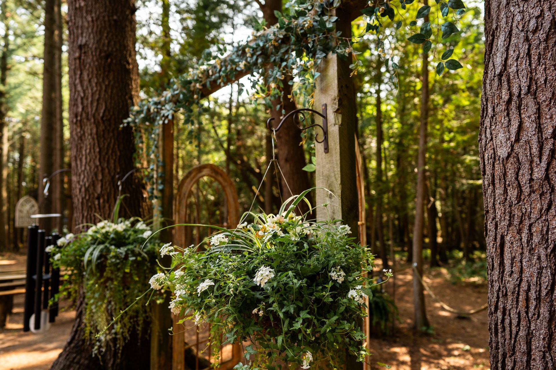 Whispering springs Wedding (Love Photos Photography)