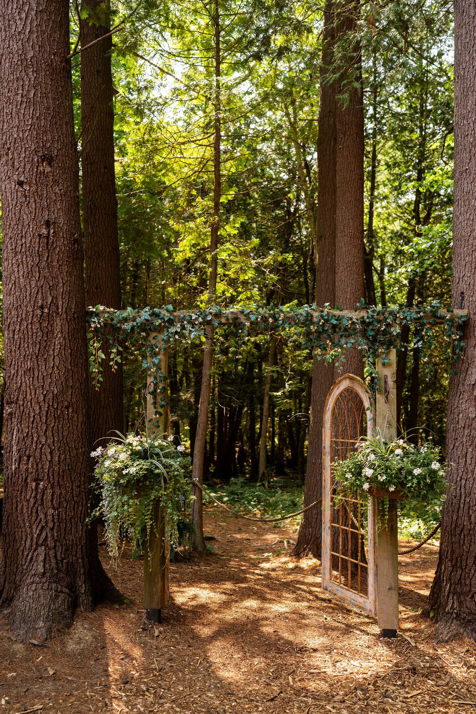 Whispering springs Wedding (Love Photos Photography)