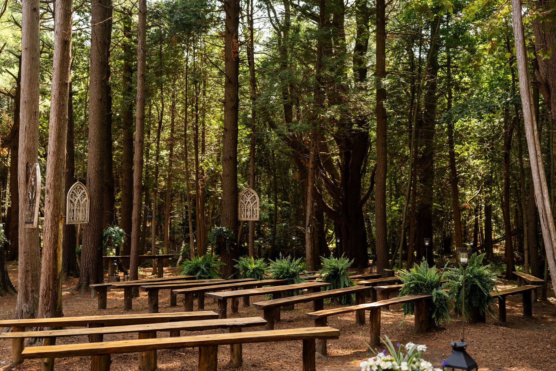 Whispering springs Wedding (Love Photos Photography)