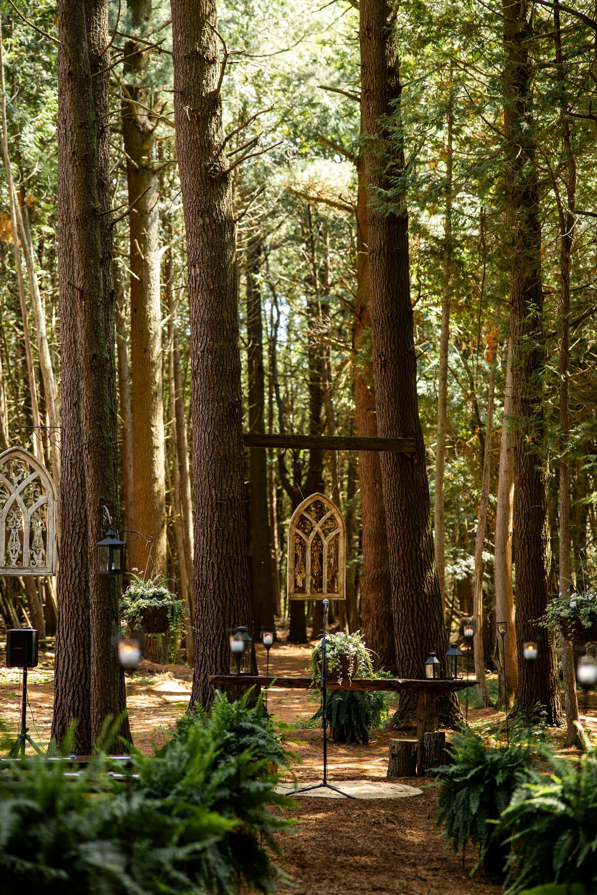 Whispering springs Wedding (Love Photos Photography)