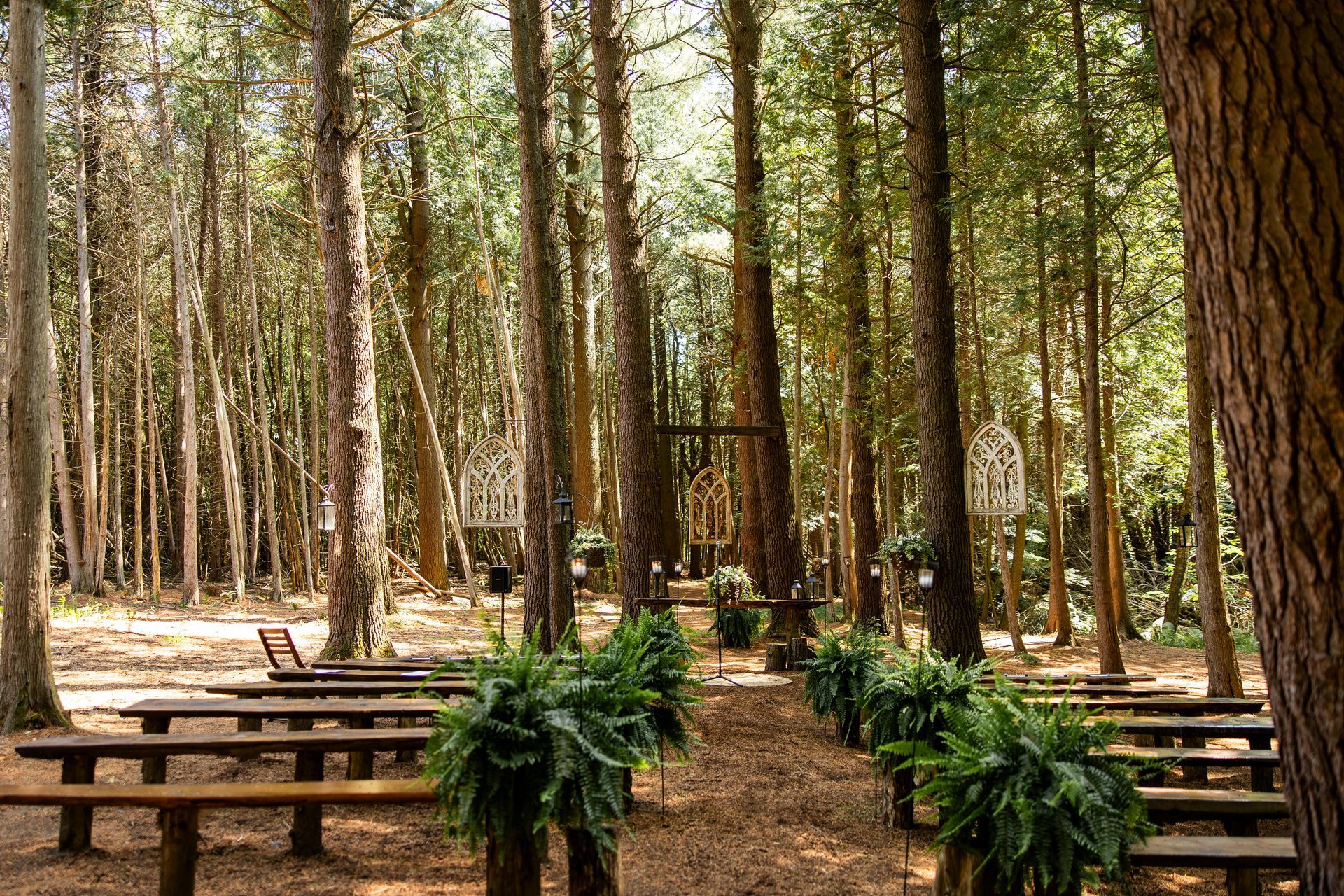 Whispering springs Wedding (Love Photos Photography)