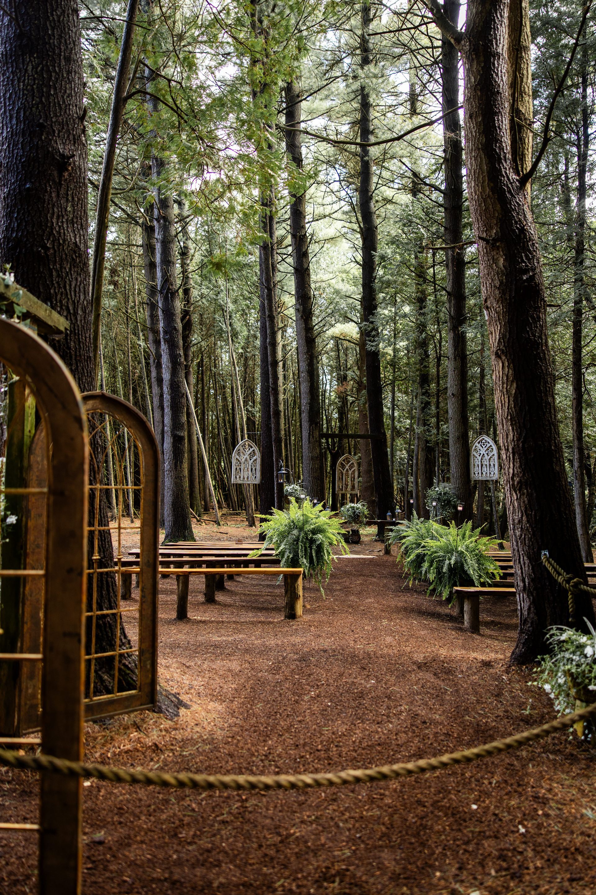 Whispering springs Wedding (Love Photos Photography)