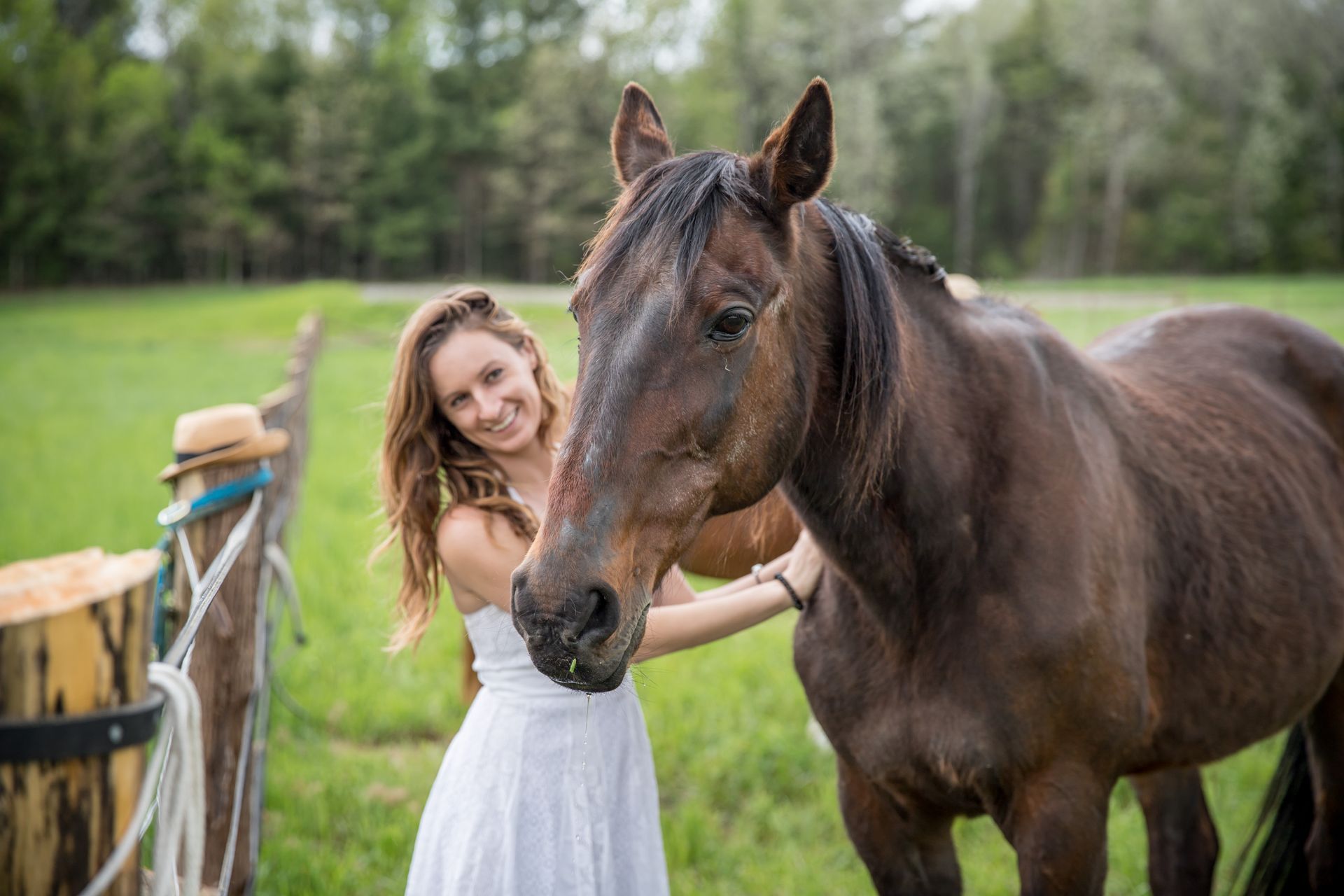 Guest at Whispering Springs petting the horses