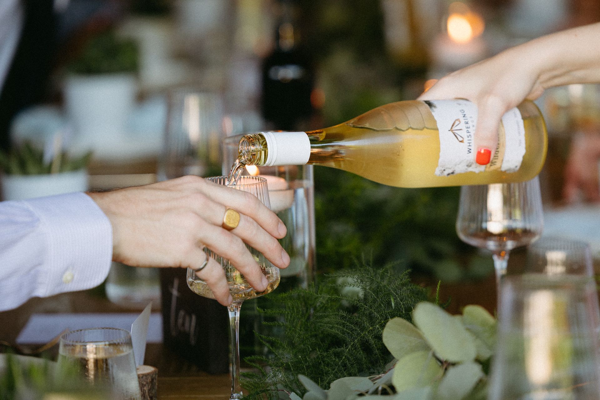 Watering Hole Bar Whispering Springs