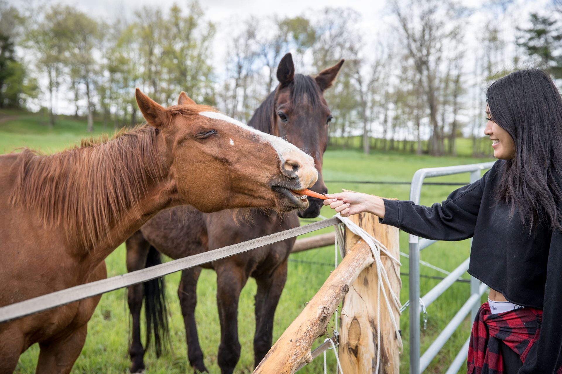 Corporate retreat at Whispering Springs