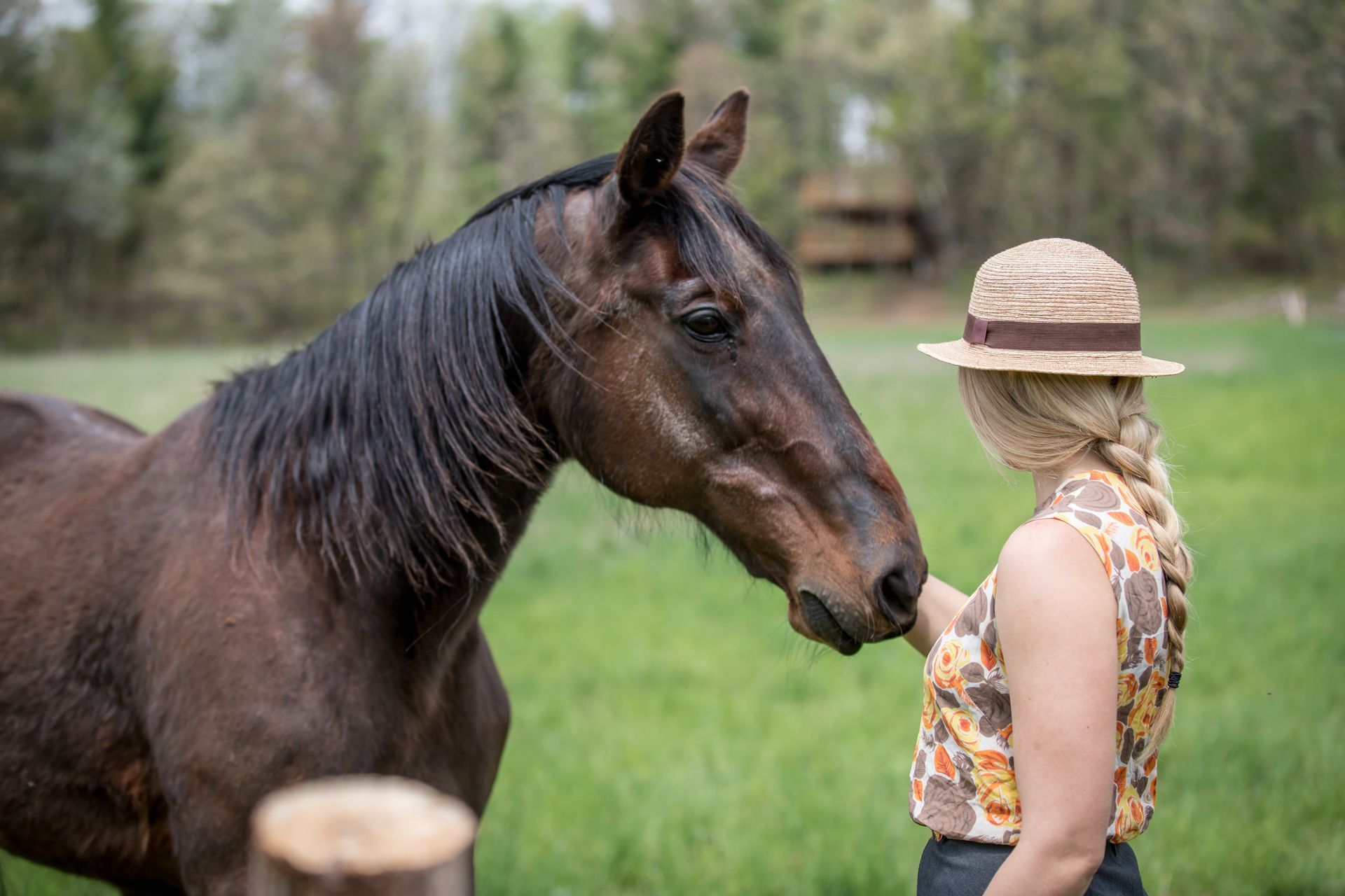 Corporate retreat at Whispering Springs