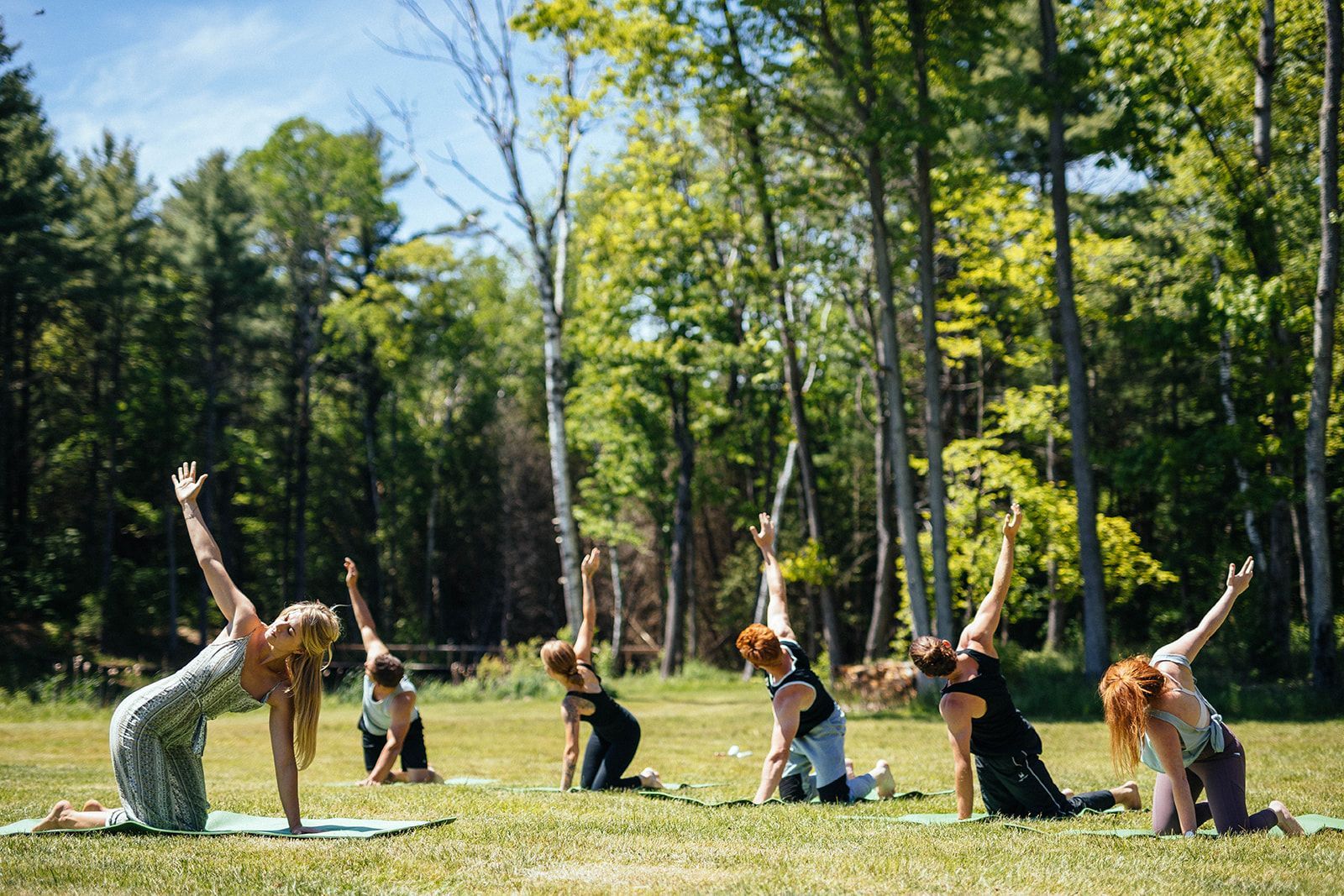 Corporate retreat at Whispering Springs