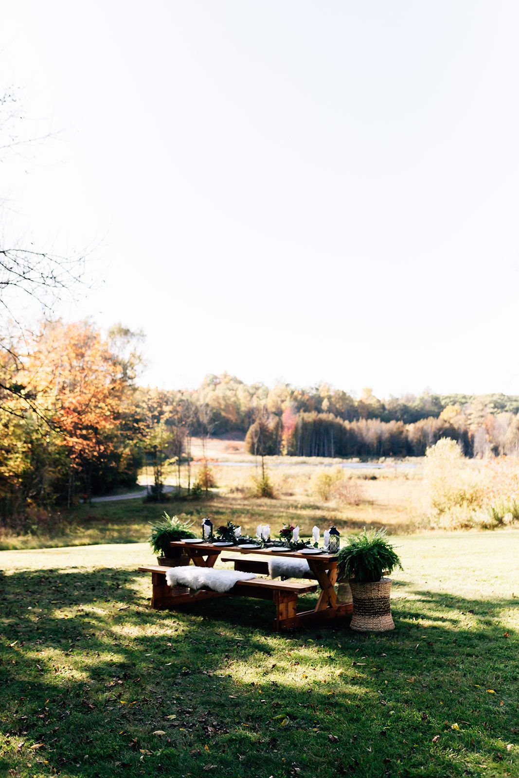 Picnic table set for a meal in a sunlit field with trees in the background.
