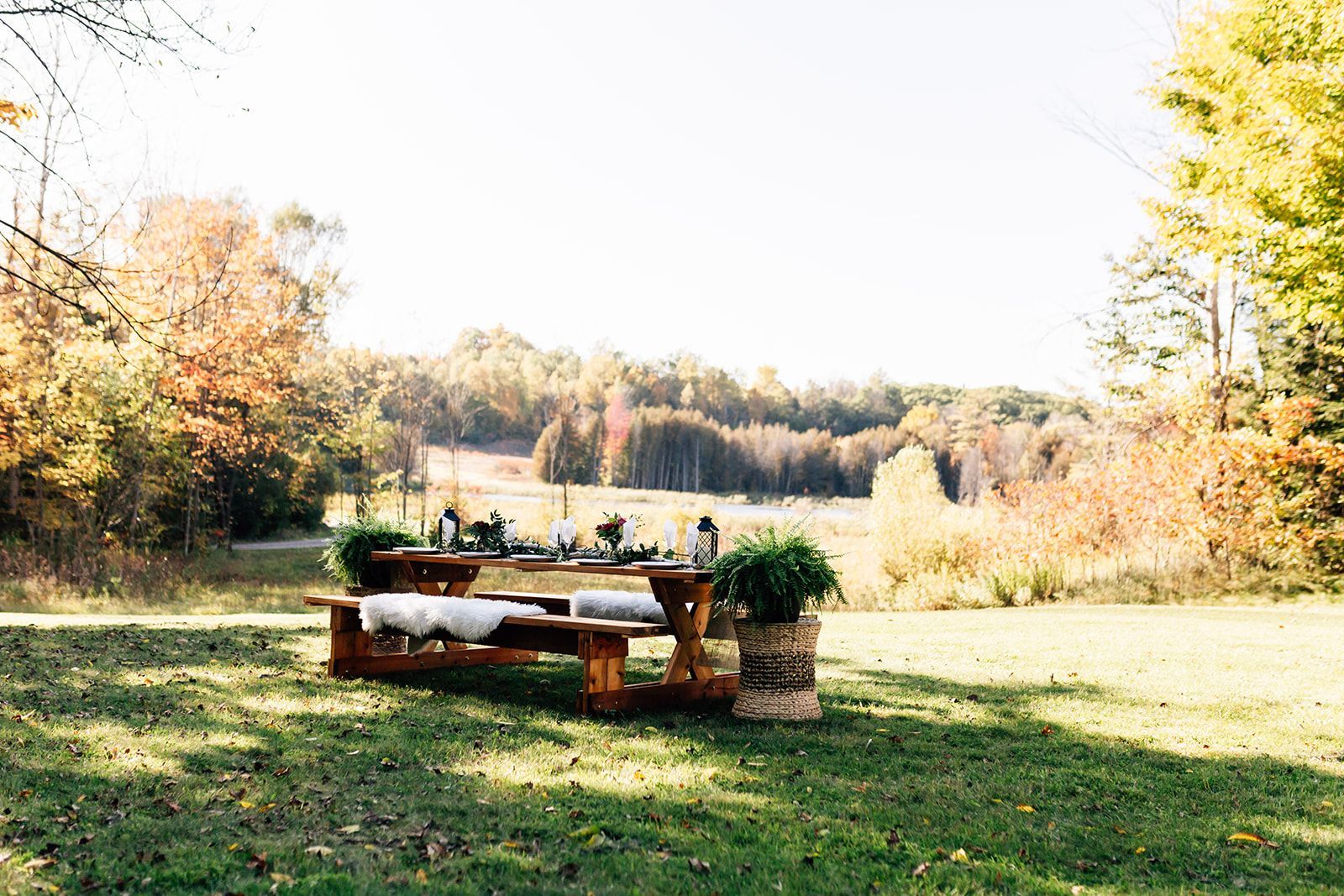 Picnic table with decorations in a sunny outdoor field, surrounded by fall foliage.