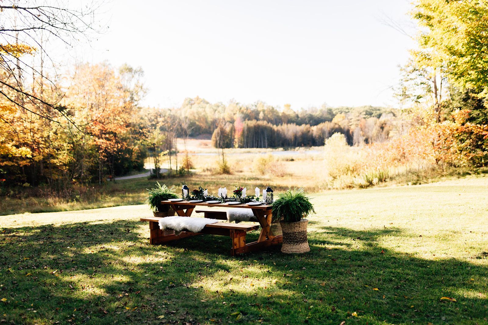 Picnic tables set for an outdoor event in a field surrounded by fall foliage.