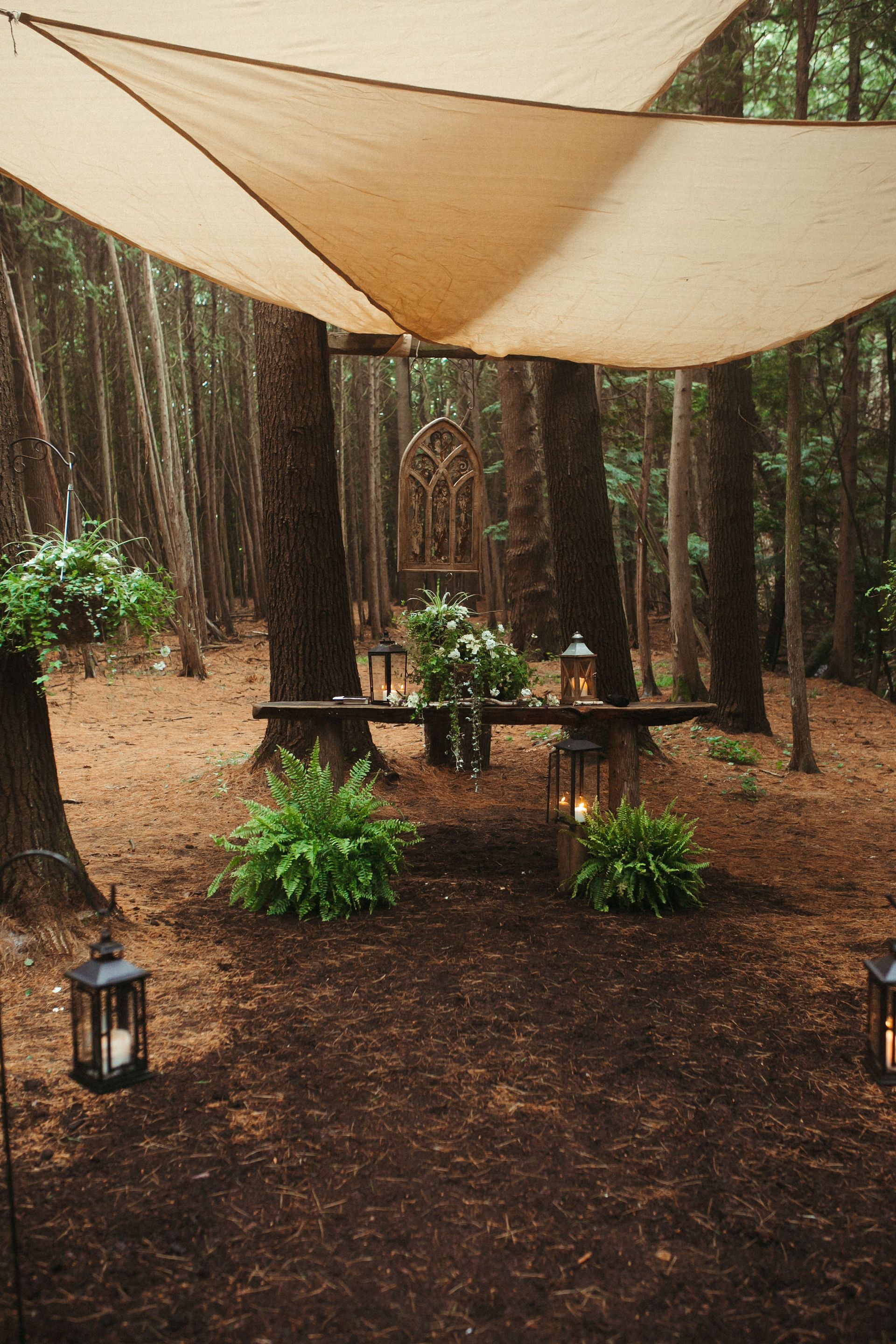 Whispering Springs elopement