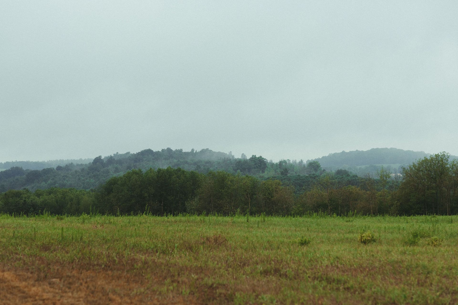 Whispering Springs elopement