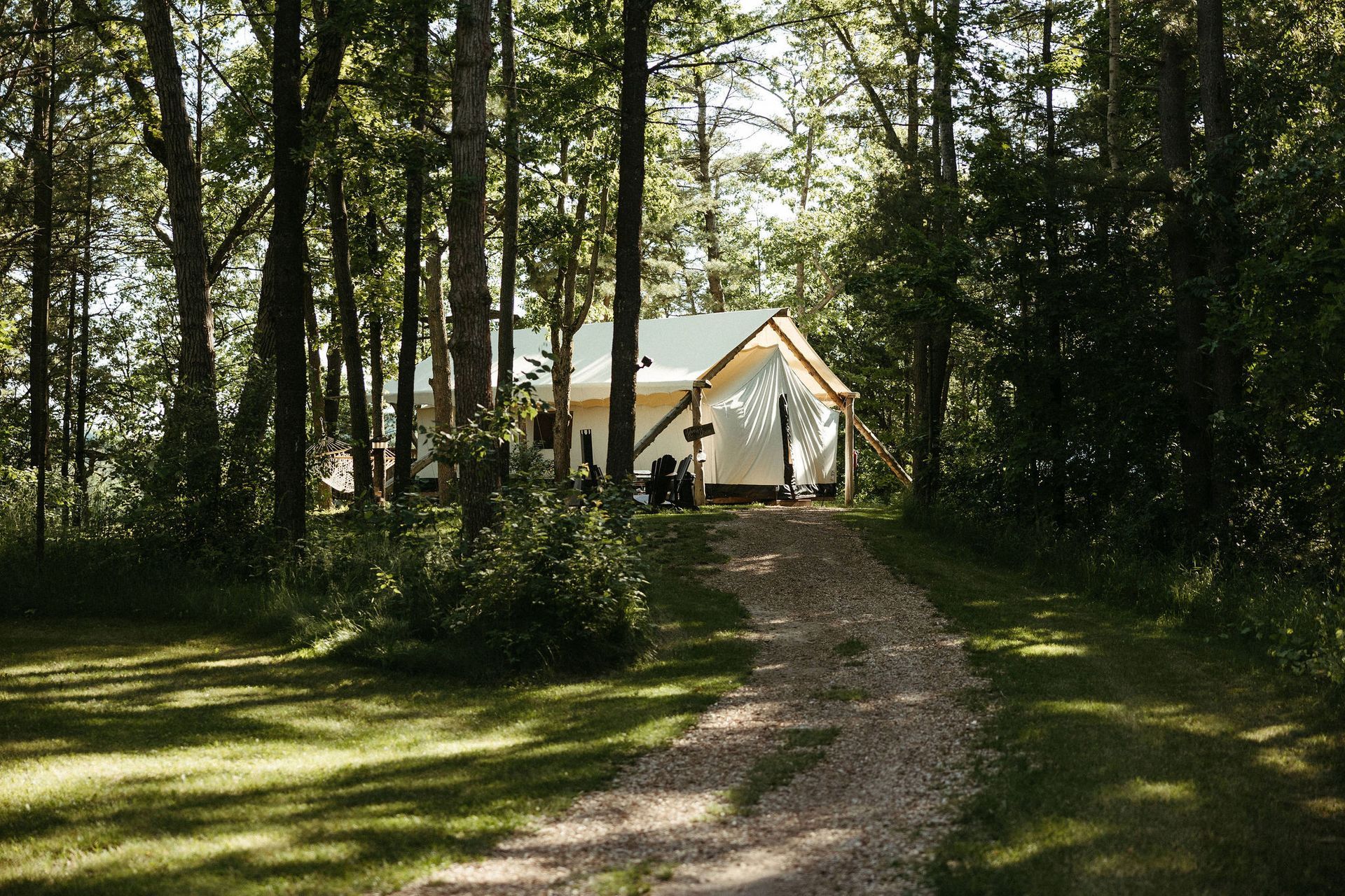 Gravel path leads to a white tent among trees in a wooded area, sunlight dappling the ground.