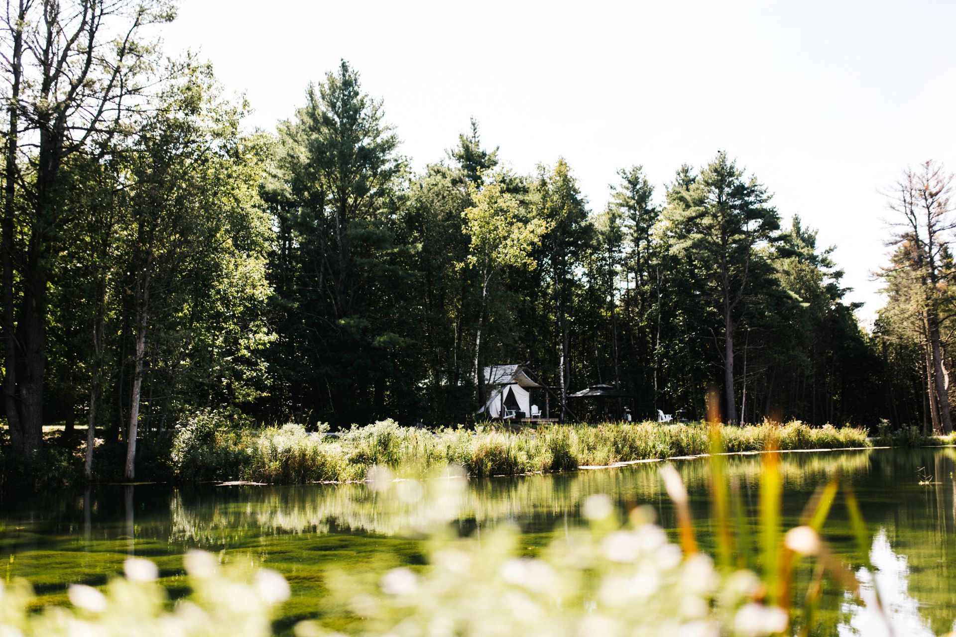 Sustainable wedding and glamping venue in Northumberland County