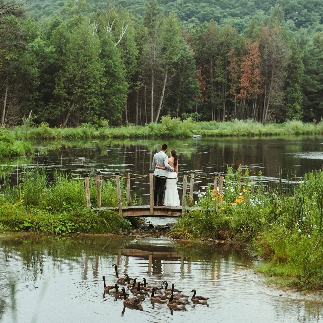 Monet Bridge wedding photo at whispering springs