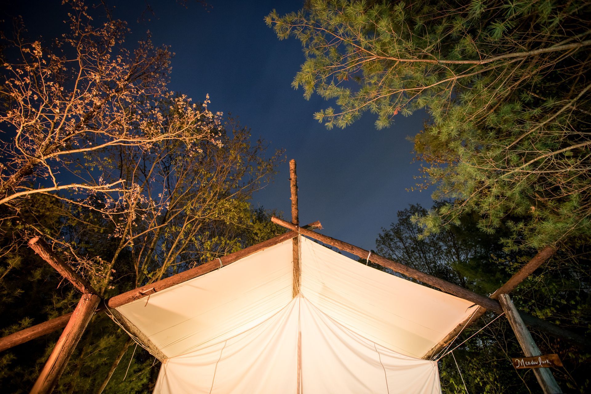Tent shelter under trees against a dark night sky.