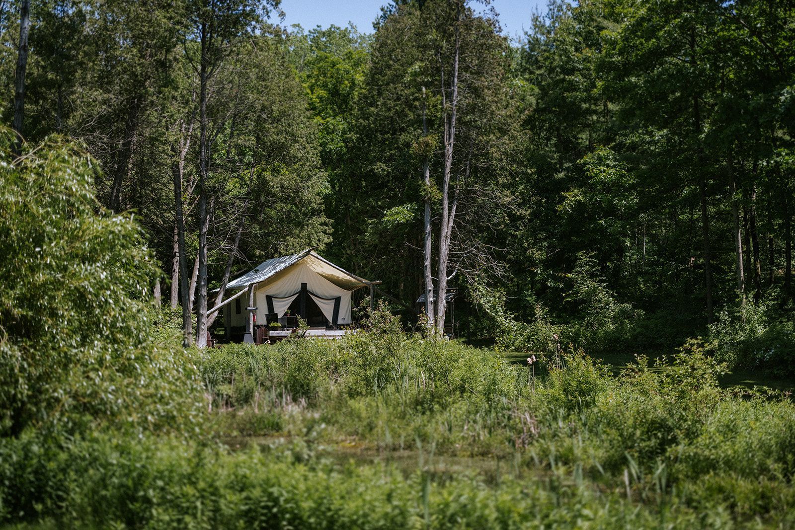Canvas tent nestled in a forest clearing surrounded by green foliage and trees.