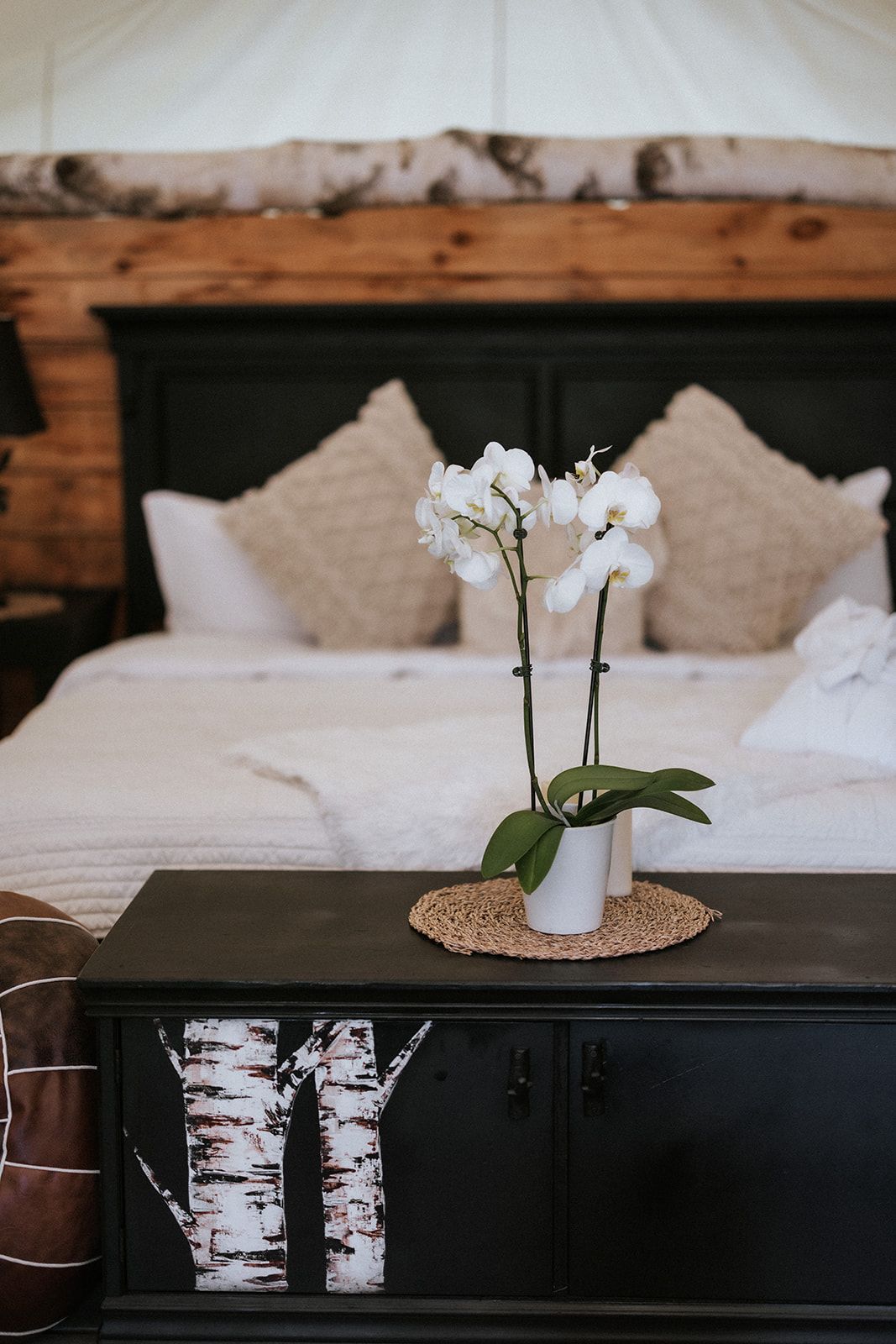 Bedroom with white orchid on a black chest in front of a bed with pillows.