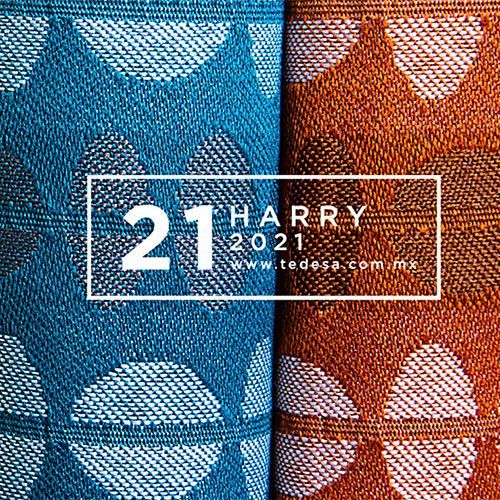 Harry 2021