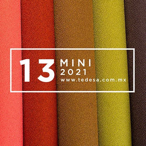 Mini 2021