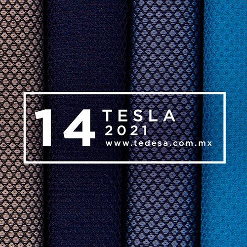 Tesla 2021