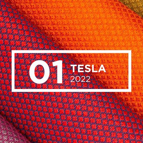Tesla 2022