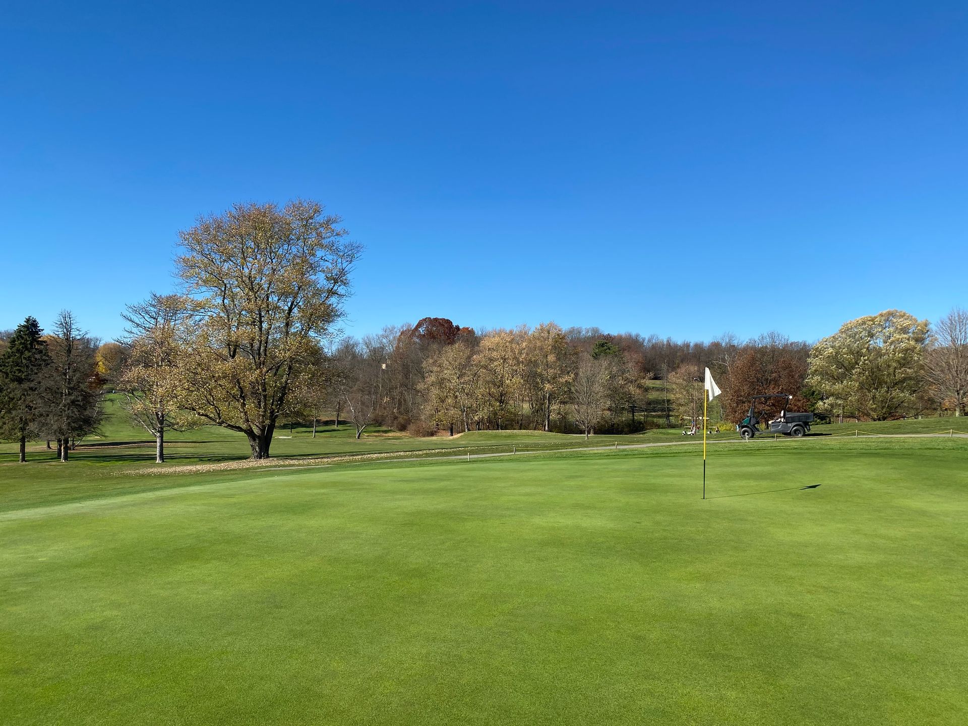 A golf course with trees in the background on a sunny day.