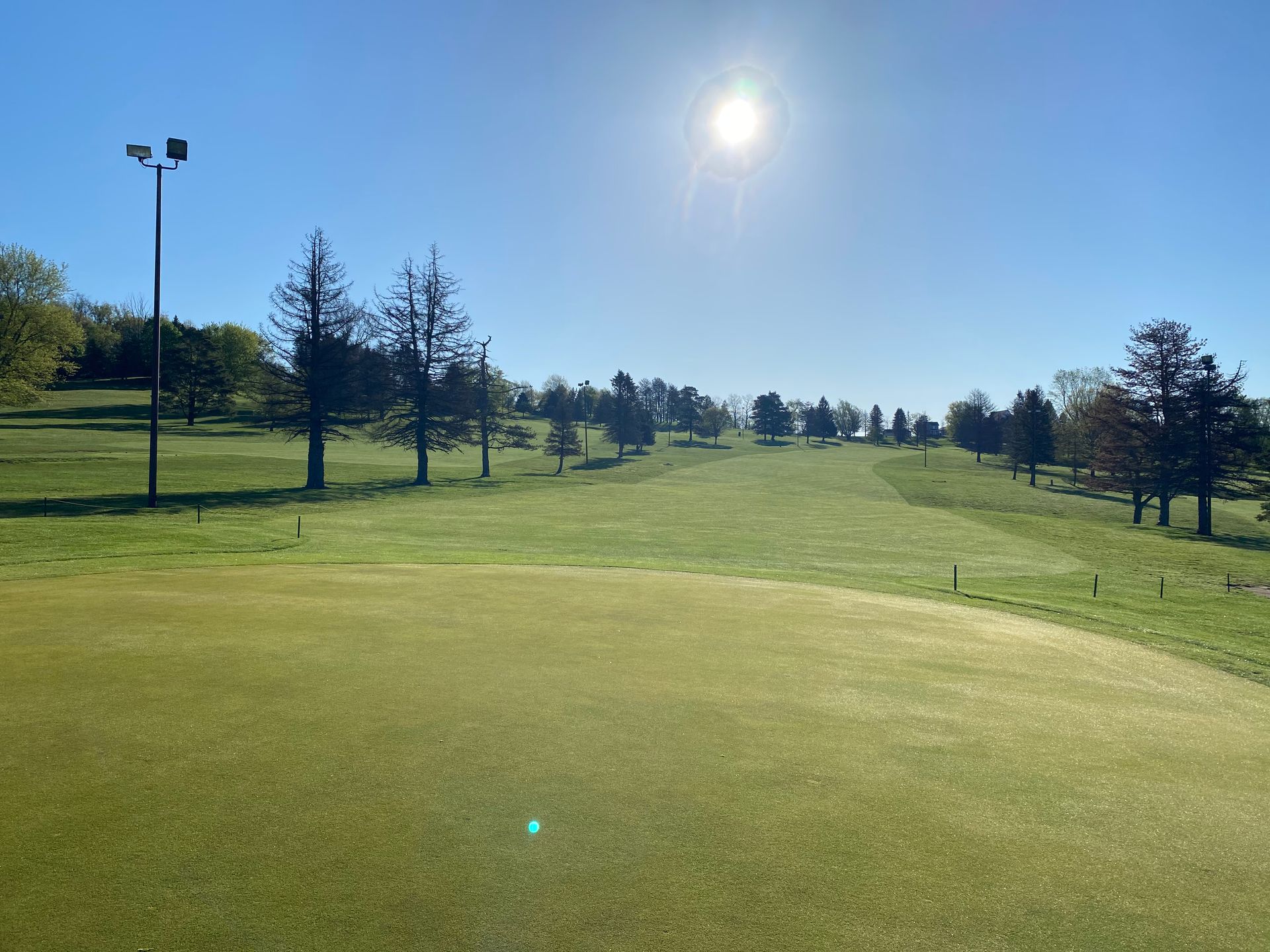 A golf course with a green and trees on a sunny day