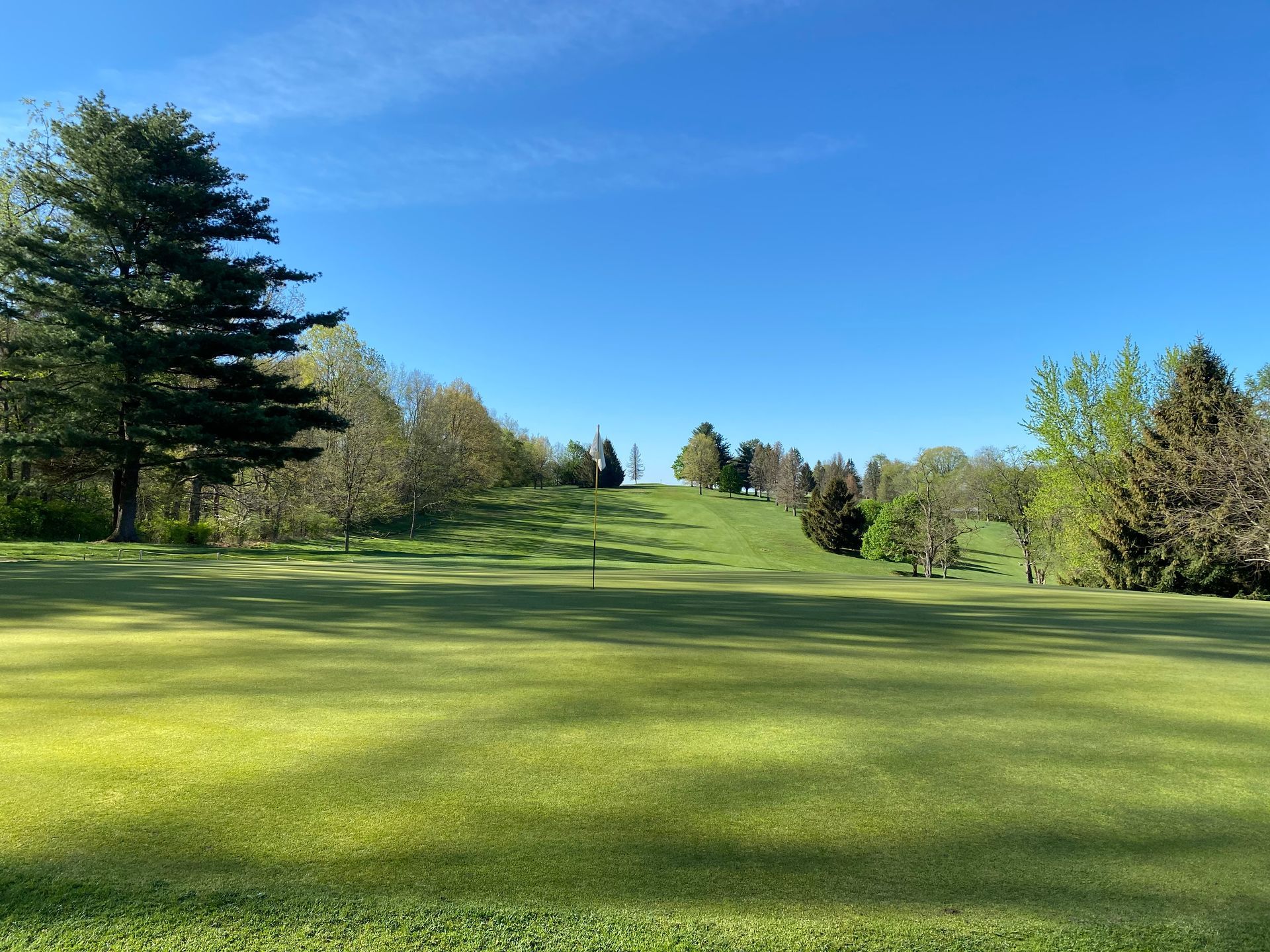 A golf course with trees and a blue sky in the background