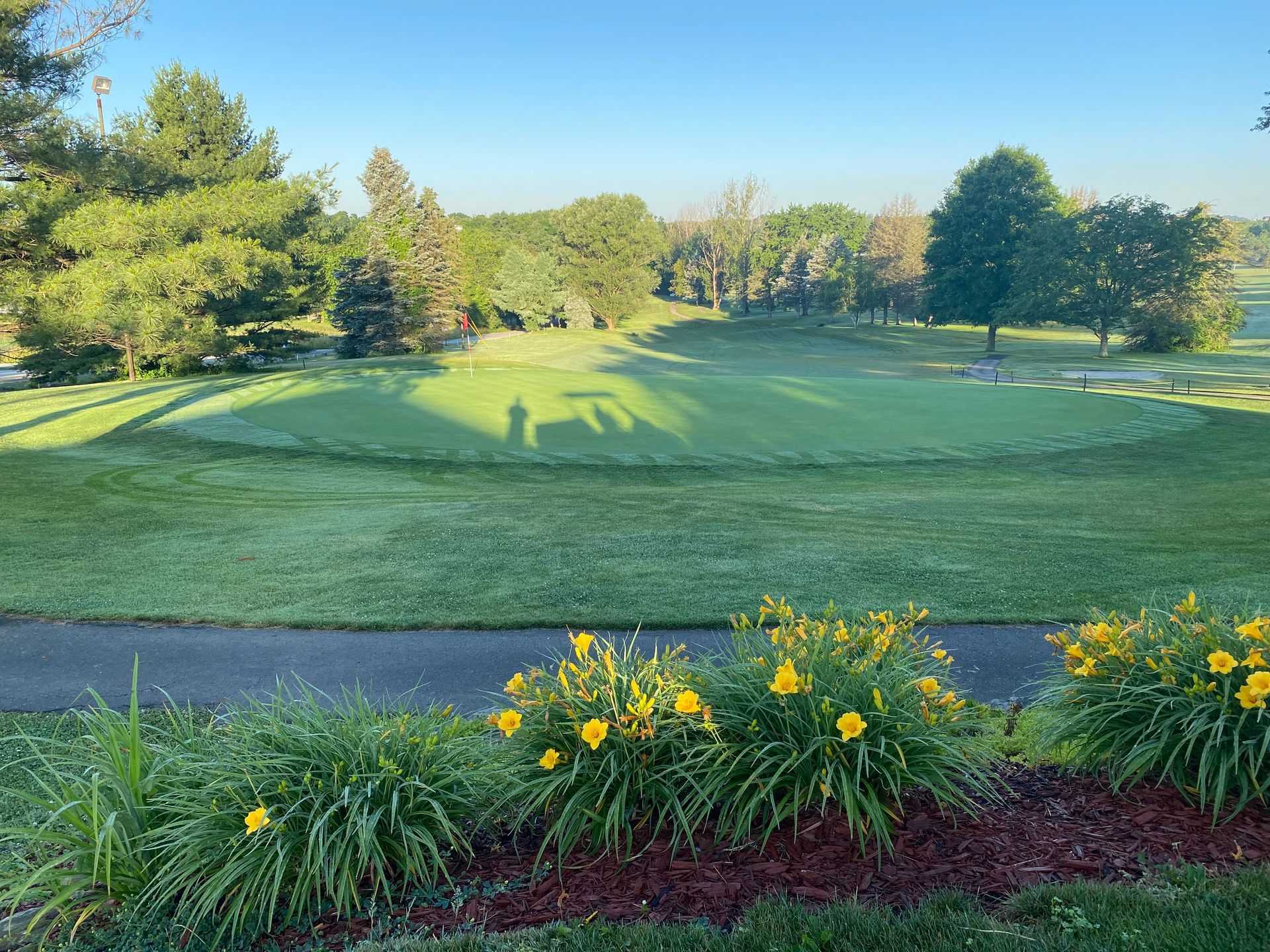A view of a golf course with yellow flowers in the foreground.