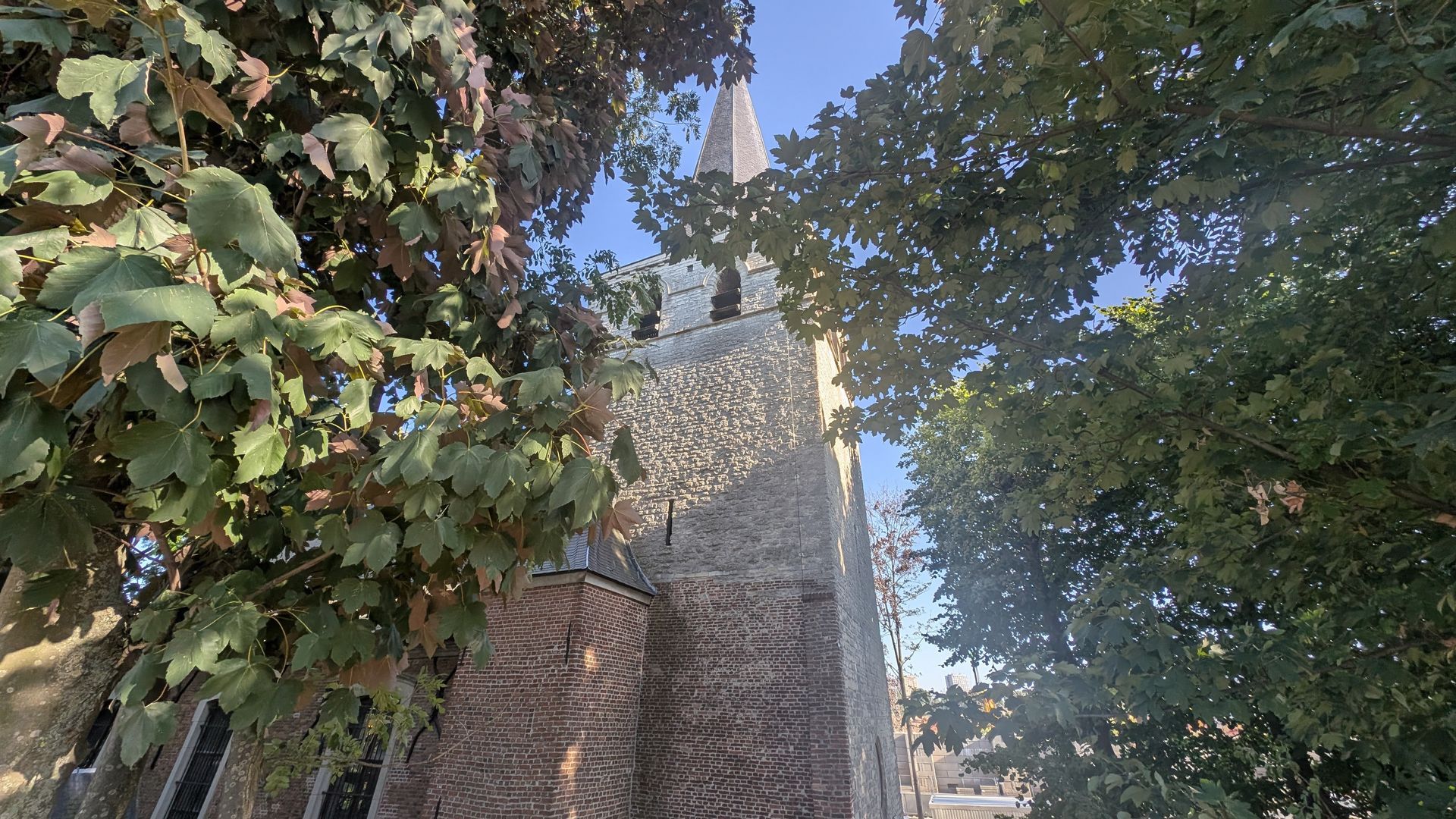 Stenen kerktoren die boven het groene gebladerte uitsteekt; blauwe lucht.