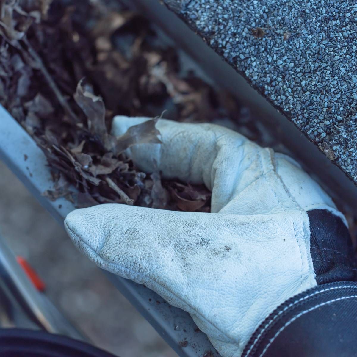A person wearing gloves is cleaning a gutter of leaves.
