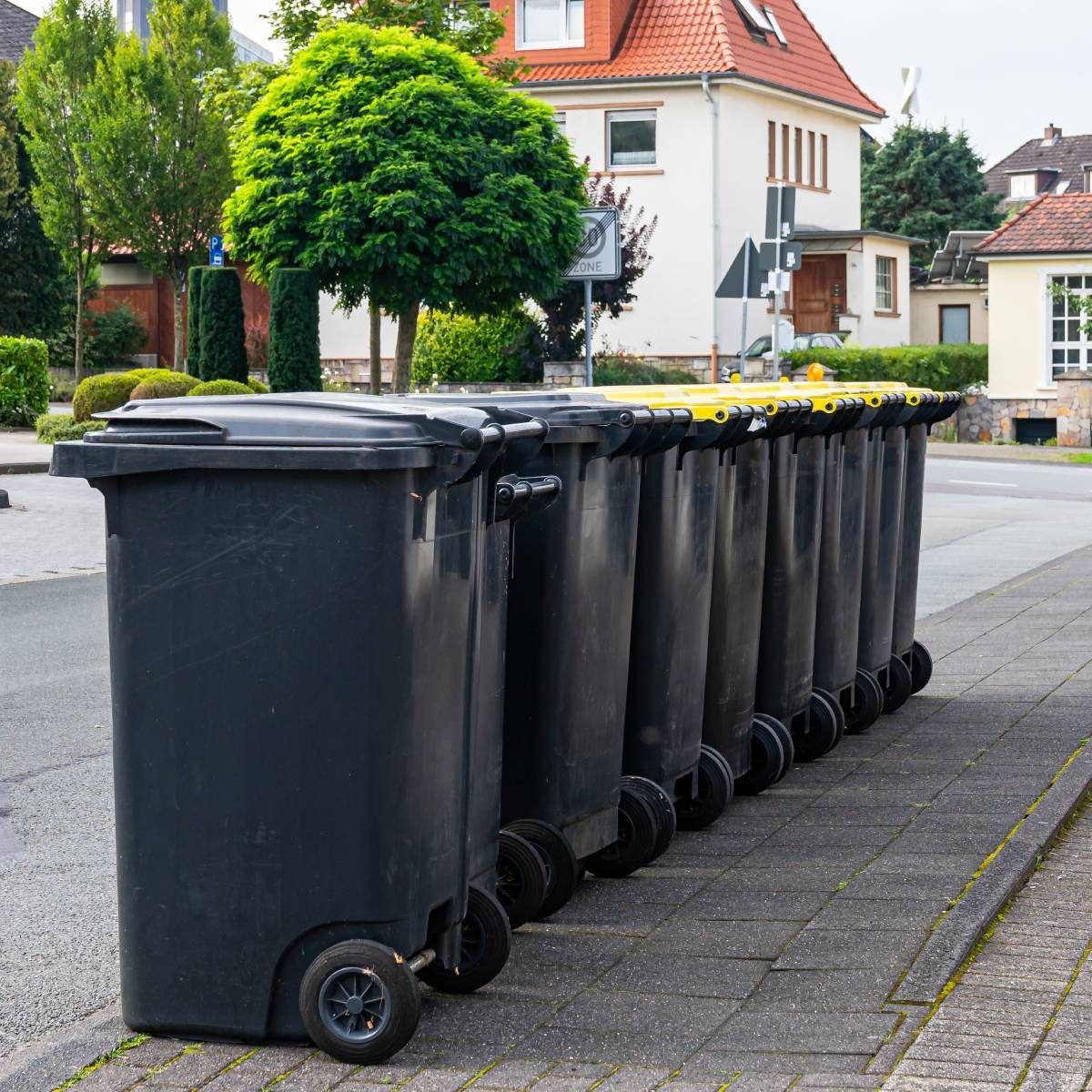 A row of trash cans are lined up on the sidewalk