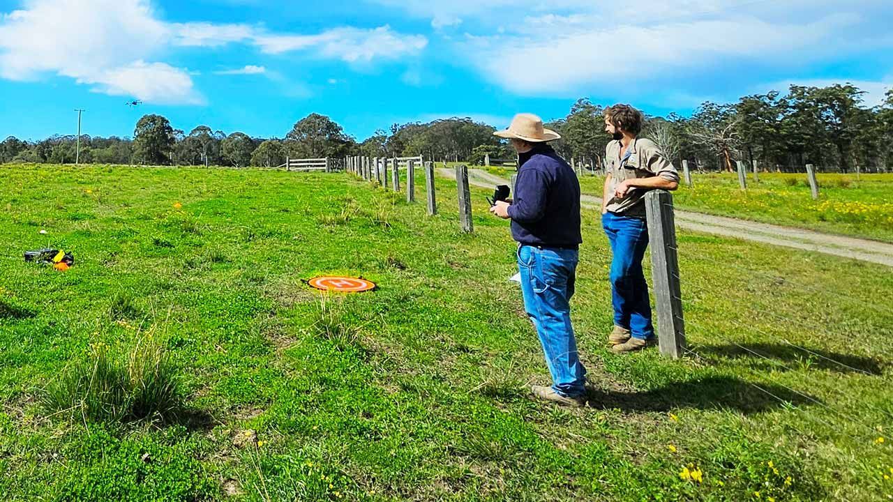 Port Macquarie NSW Farmers Training Two people stand in a grassy field under a bright blue sky, near scattered orange markers.