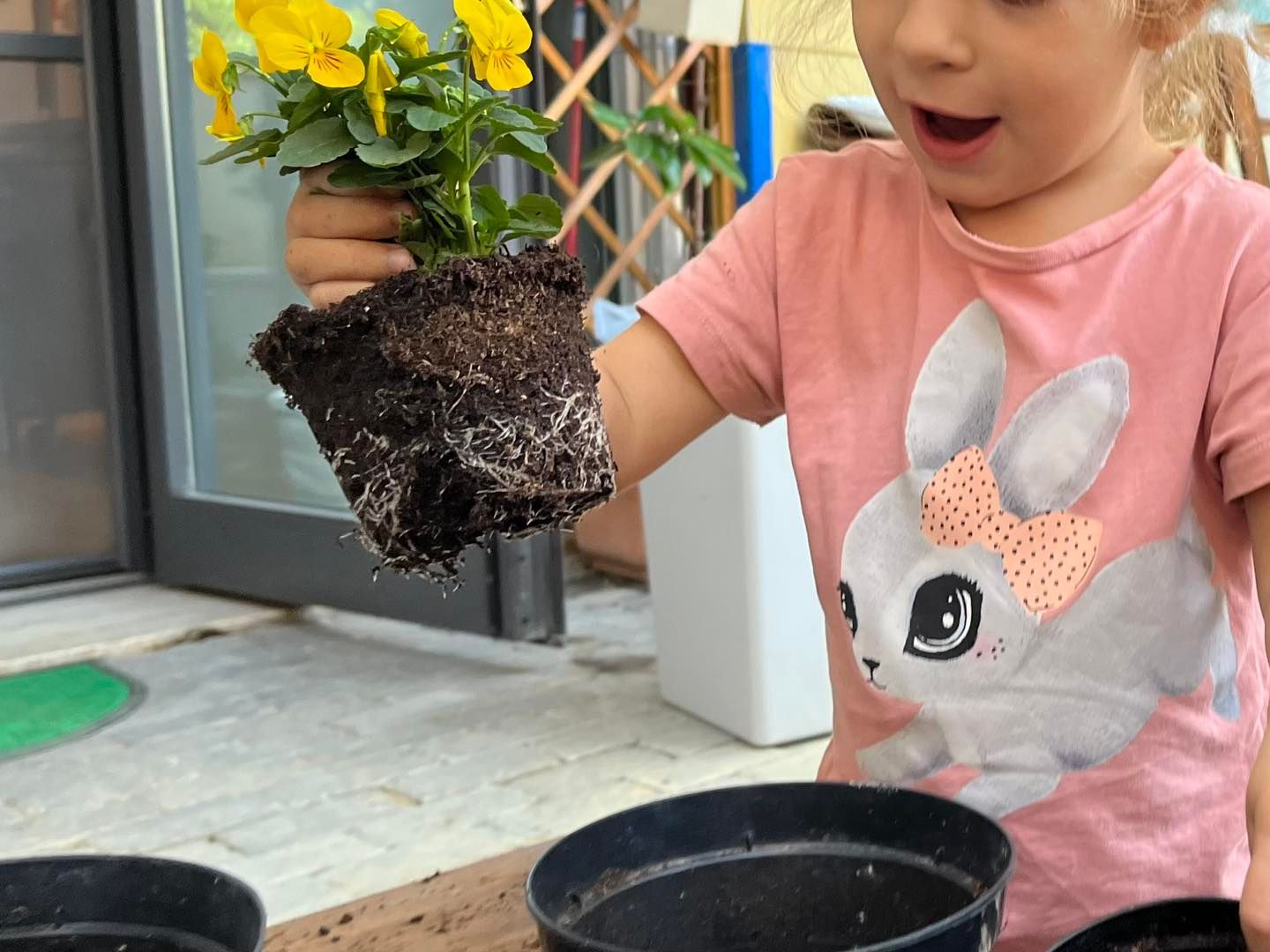 Nido di Infanzia Piccole Orme.Com 27