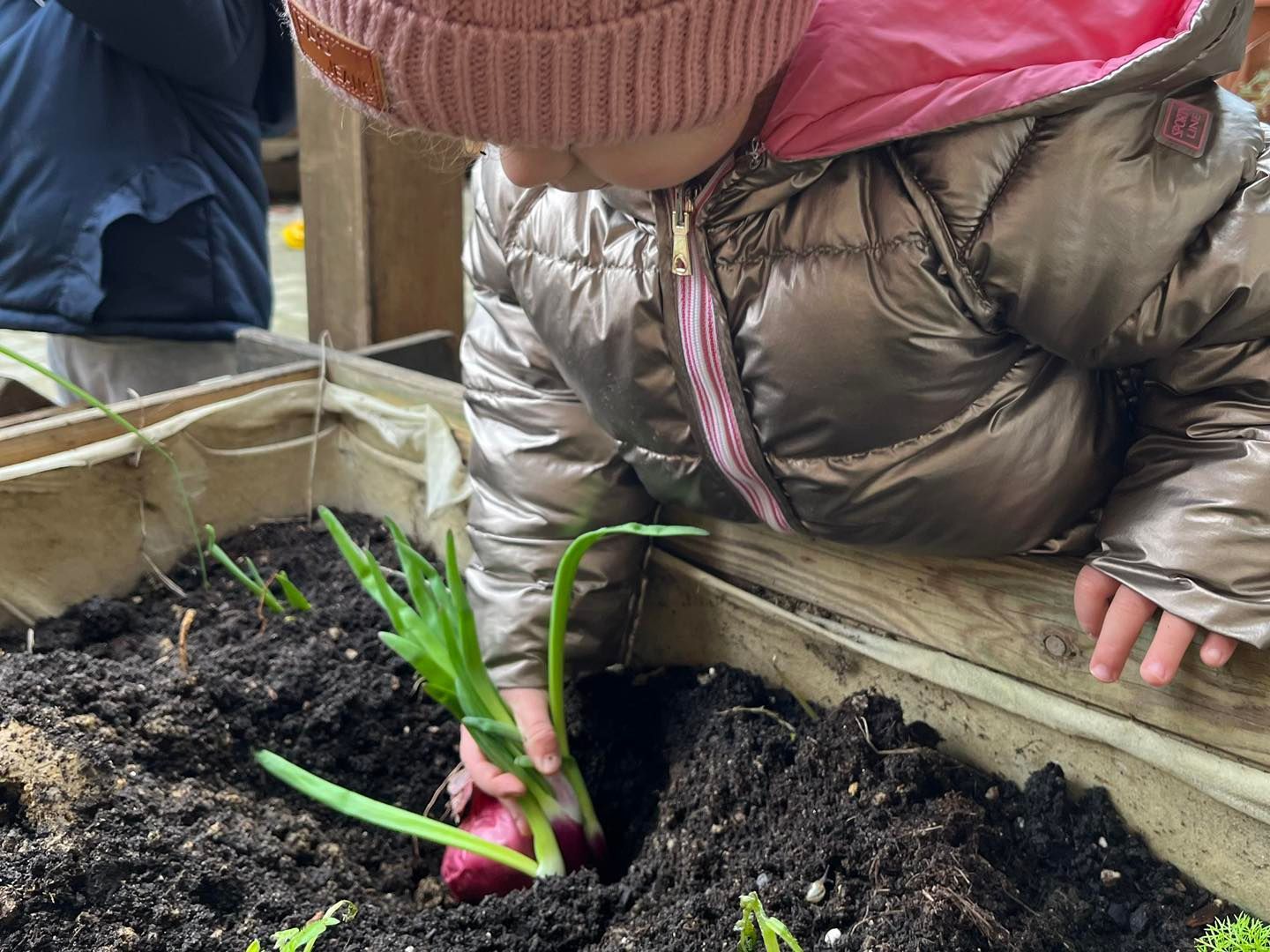 Nido di Infanzia Piccole Orme.Com
