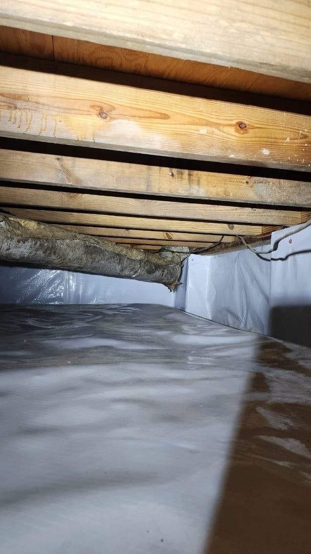 Crawlspace floor with exposed wooden joists and white insulation along the right wall.