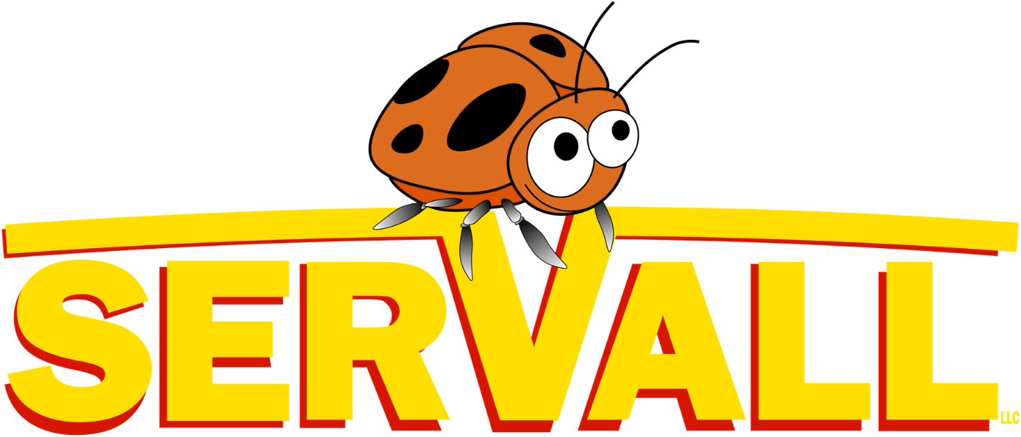 Logo reading “SERVALL” with a cartoon orange ladybug perched above the text