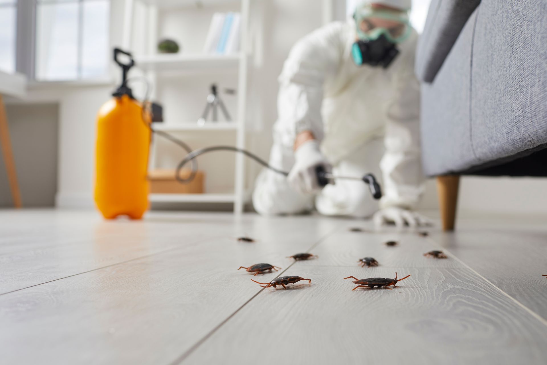 Pest control worker spraying for insects on a hardwood floor beside an orange sprayer