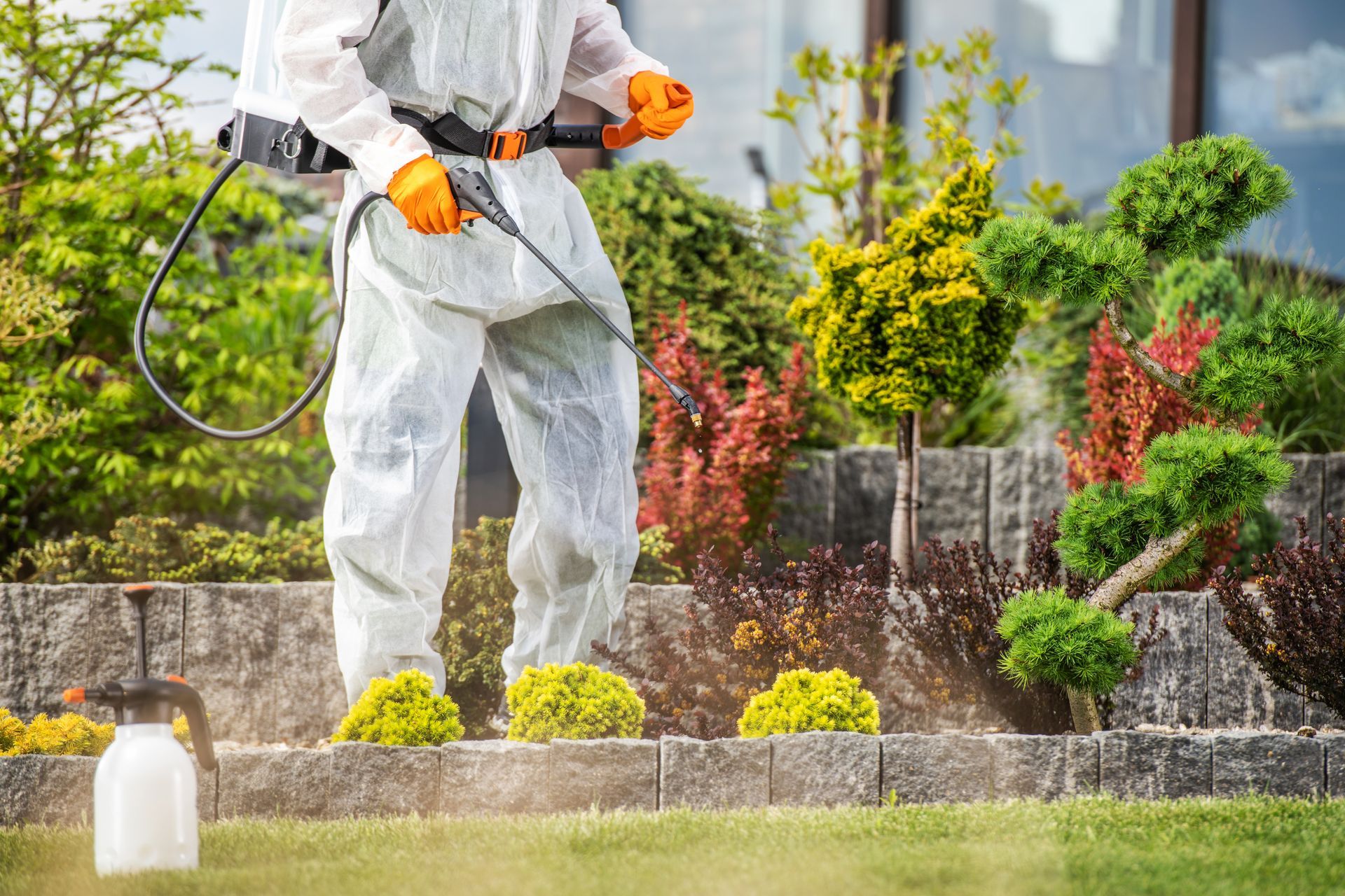 Person in white protective suit spraying pesticide on shrubs in a garden, with mist and orange gloves.