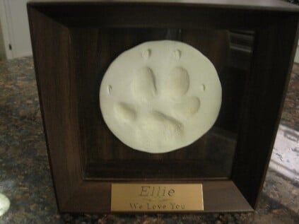 Paw print hotsell shadow box